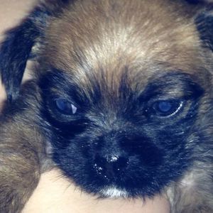 Meet your Posher, Brendon